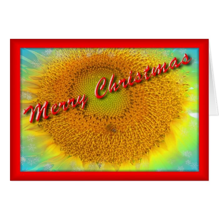 Merry Sunflower Christmas Card
