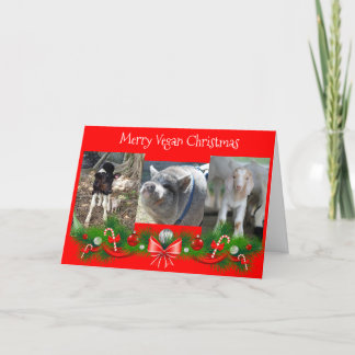 Merry Vegan Christmas Card