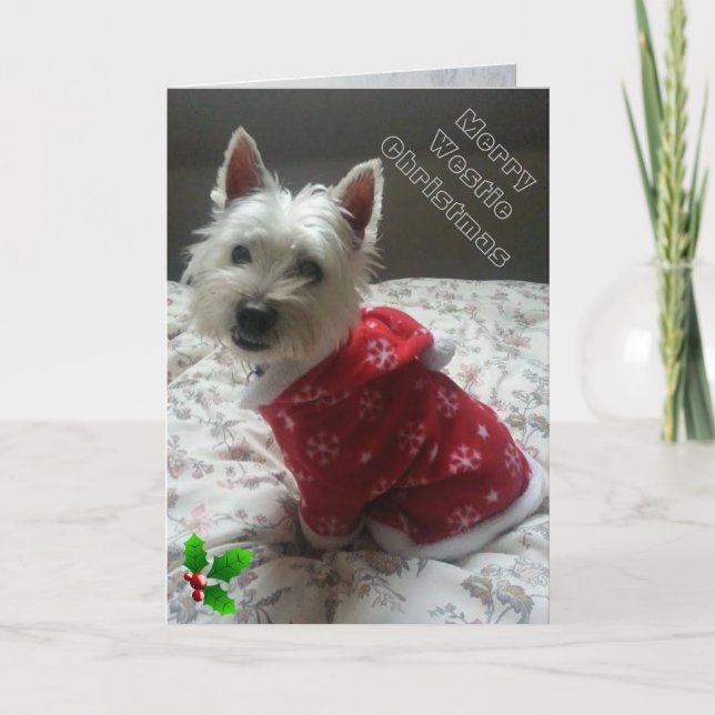 Merry Westie Christmas Card for your westie (Front)