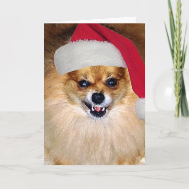 "Merry Woofing Christmas" Pomeranian Santa Card (Front)