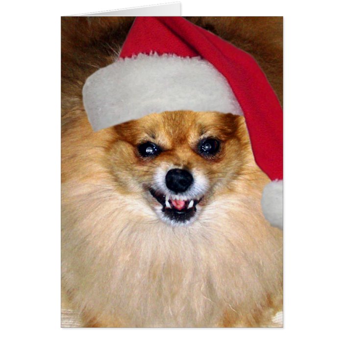 "Merry Woofing Christmas" Pomeranian Santa Card