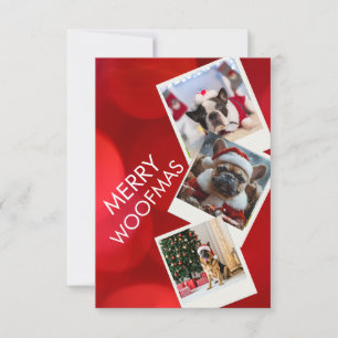Merry Woofmas Multi-Photo Dog Christmas Card