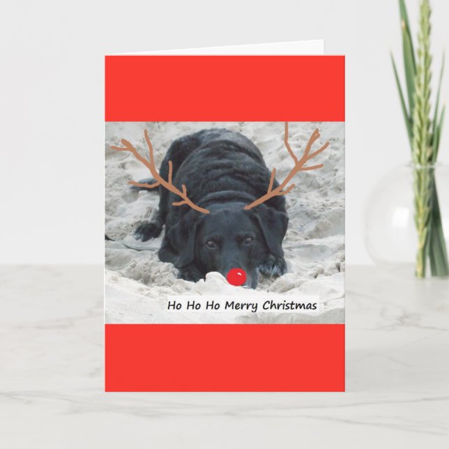 Merry Xmas Holiday Card (Front)