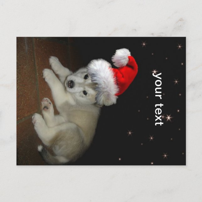 Merry Xmas Puppy Holiday Postcard (Front)