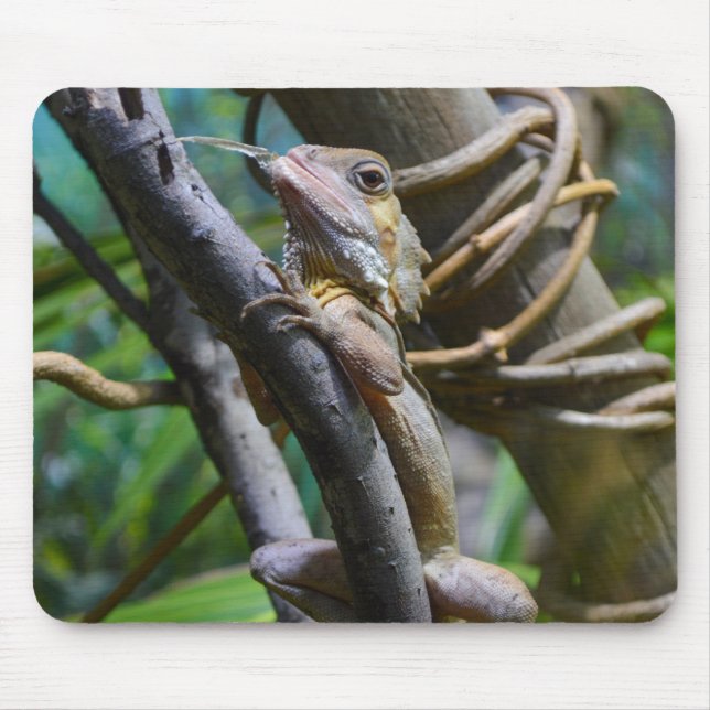 Merten's Water Monitor Mouse Pad (Front)
