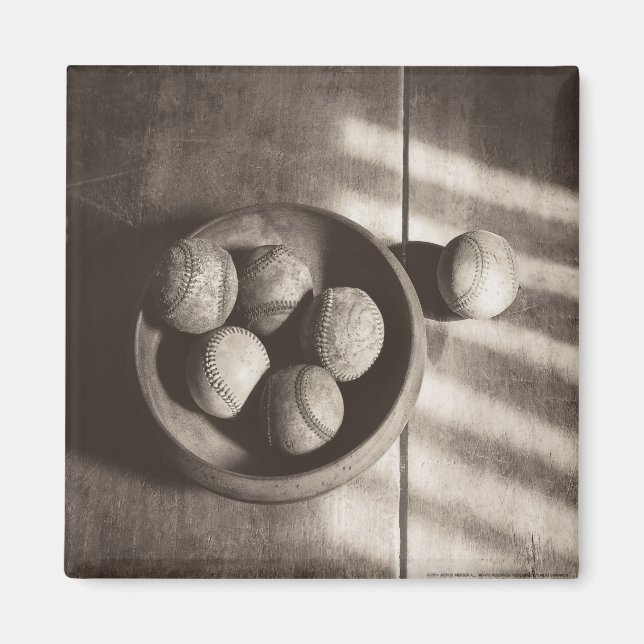 MES01BWD2 Baseball Bowl.tif Magnet (Front)