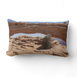 Mesa Arch and Tumbleweed at Canyonlands Lumbar Pillow