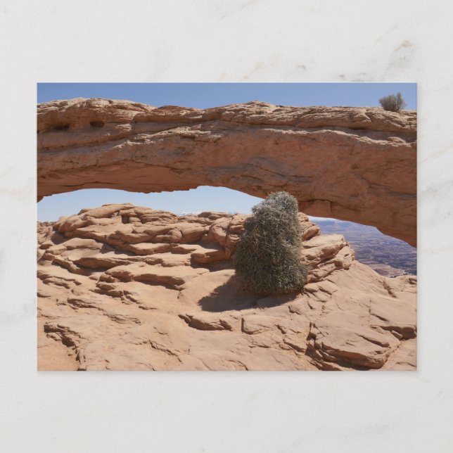 Mesa Arch and Tumbleweed at Canyonlands Postcard (Front)