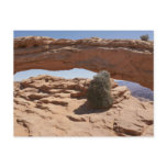 Mesa Arch and Tumbleweed at Canyonlands Postcard