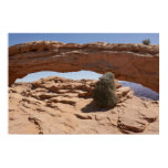 Mesa Arch and Tumbleweed at Canyonlands Poster