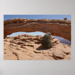 Mesa Arch and Tumbleweed Poster