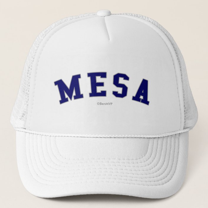 Mesa Trucker Hat
