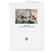 Mesa Verde View Cards (Back)