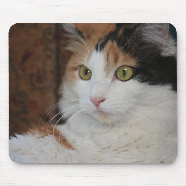Mesmerized Feline Mouse Pad (Front)