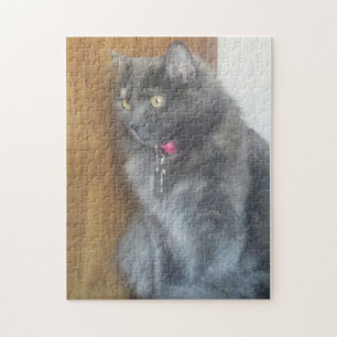 Mesmerized Gray Cat Jigsaw Puzzle