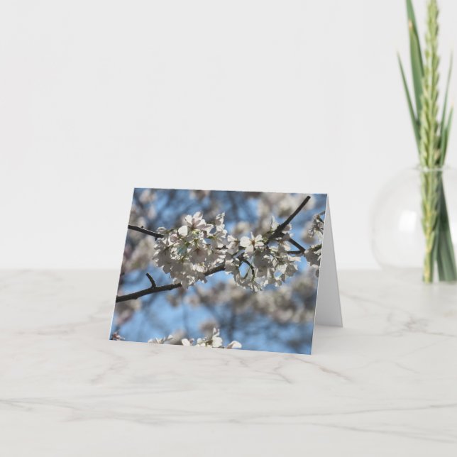 Mesmerizing Cherry Blossom Greeting Card (Front)