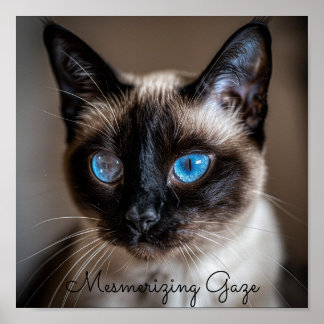 Mesmerizing Gaze: Siamese Cat Poster