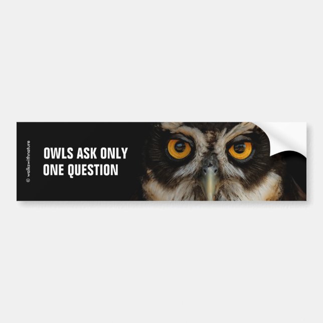 Mesmerizing Golden Eyes of a Spectacled Owl Bumper Sticker (Front)