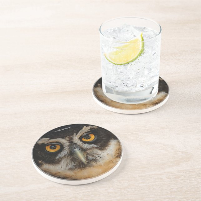 Mesmerizing Golden Eyes of a Spectacled Owl Coaster (Side)