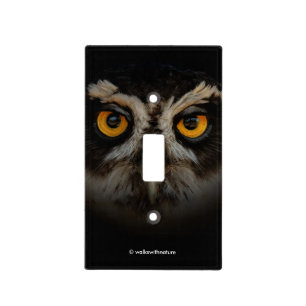 Mesmerizing Golden Eyes of a Spectacled Owl Light Switch Cover