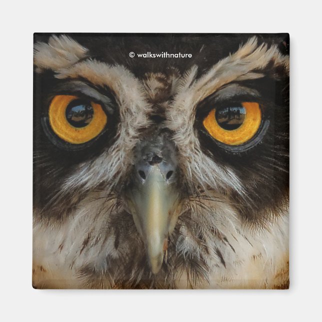 Mesmerizing Golden Eyes of a Spectacled Owl Magnet (Front)