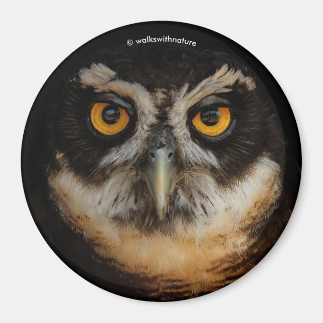 Mesmerizing Golden Eyes of a Spectacled Owl Magnet (Front)