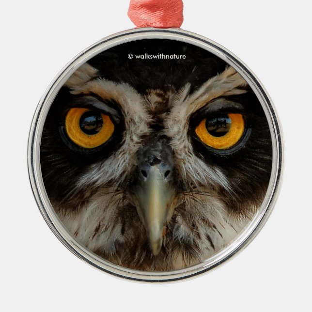 Mesmerizing Golden Eyes of a Spectacled Owl Metal Ornament (Front)