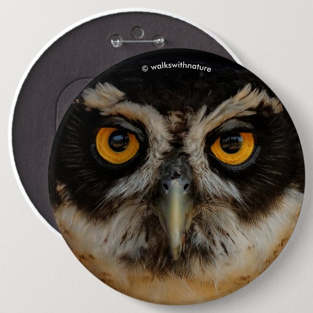 Mesmerizing Golden Eyes of a Spectacled Owl Pinback Button (Front & Back)