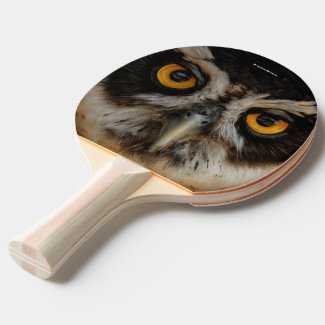 Mesmerizing Golden Eyes of a Spectacled Owl