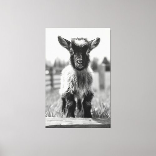 Mesmerizing Monochromatic Baby Goat Portrait Canvas Print