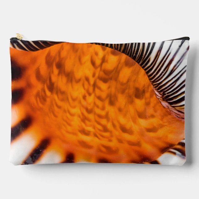 Mesmerizing seashell accessory pouch (Front)