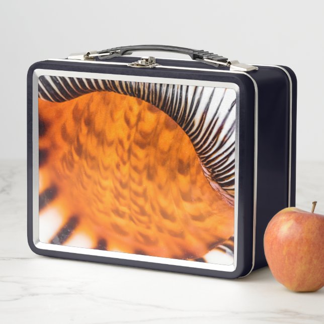 Mesmerizing seashell metal lunch box (In Situ)