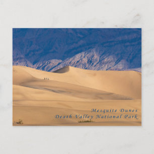 Mesquite Dunes Death Valley National Park Postcard