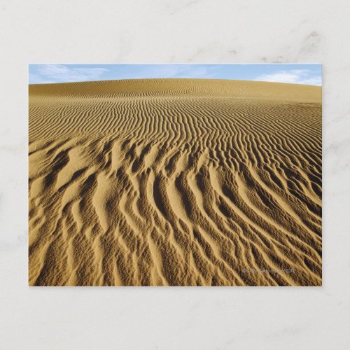 Mesquite Dunes Death Valley National Park Postcard