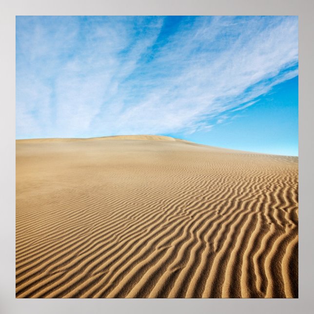 Mesquite Flats Sand Dunes Poster (Front)