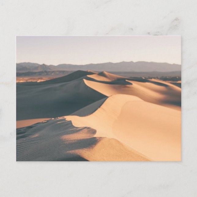 Mesquite Sand Dunes in Death Valley Postcard (Front)