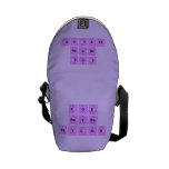Zoe 
 Reyna
 Taylor  Messenger Bags (mini)