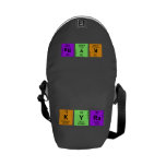 Kyra  Messenger Bags (mini)