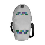 hola gata bela
 felina bela  Messenger Bags (mini)