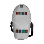 Burcu  Messenger Bags (mini)