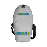 zainab  Messenger Bags (mini)