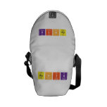 AsHIK  Messenger Bags (mini)