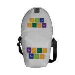 frogs
 rains  Messenger Bags (mini)