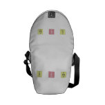 u S ES  Messenger Bags (mini)