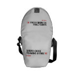 Sandra Cross Richmond Avenue  Messenger Bags (mini)