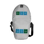 autism  Messenger Bags (mini)
