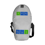 Dylan  Messenger Bags (mini)