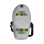 science
 bitch  Messenger Bags (mini)