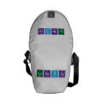 Lunatics  Messenger Bags (mini)