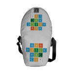 What
 would
 Walt
 Do?  Messenger Bags (mini)